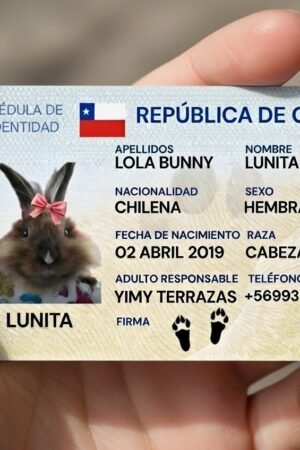 CÉDULA DE IDENTIDAD PARA MASCOTAS + NFC + QR